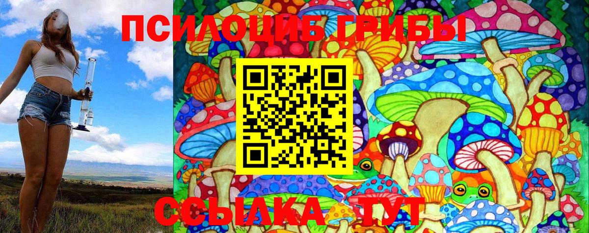 Галлюциногенные грибы Psilocybine cubensis Долгопрудный